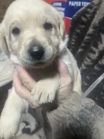 processed/09a89435-71de-4e87-bab7-82c2d64ec0ba/listing/b54a3050-9667-4989-83eb-514cb857a503/84e844b0-8749-42c7-b6c9-abd2a2084da2