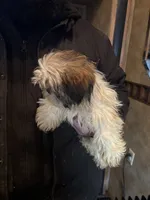 processed/09ada480-a6e9-41a1-85f9-f329198d503a/listing/06bfc5a8-9fdb-4941-b3dc-4a37c3cf6df4/03a81ffe-2905-43f8-a612-21a1af18d46c