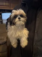 processed/09ada480-a6e9-41a1-85f9-f329198d503a/listing/06bfc5a8-9fdb-4941-b3dc-4a37c3cf6df4/3a40d57e-517b-40f5-a747-cb08e3c4bd4c