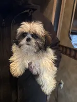 processed/09ada480-a6e9-41a1-85f9-f329198d503a/listing/06bfc5a8-9fdb-4941-b3dc-4a37c3cf6df4/a875c9cf-f4fc-49e7-bf65-334ac204de92