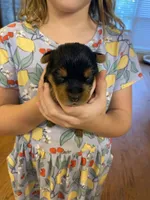 processed/09b0c0f9-df57-450c-92ad-7faab0bdd9ac/listing/e8420164-93a8-458e-b0cb-80bce24dce4d/df949c25-ccfd-4197-8f82-1925cecd4bcf