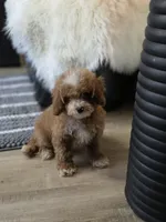 processed/09b5ad68-363b-4bb1-9c33-d02a7a3813e7/listing/13eadd39-6320-4ad7-a8cc-0b11b8757cf9/53400f73-edbf-4798-8e2c-d1aaf10d416c