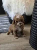 processed/09b5ad68-363b-4bb1-9c33-d02a7a3813e7/listing/13eadd39-6320-4ad7-a8cc-0b11b8757cf9/7ea07a09-36c3-4d50-9ef9-6f5797623586