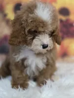 processed/09b5ad68-363b-4bb1-9c33-d02a7a3813e7/listing/13eadd39-6320-4ad7-a8cc-0b11b8757cf9/dd9464da-cc69-48a2-b71d-cd3aad9f56bc