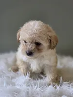 processed/09b5ad68-363b-4bb1-9c33-d02a7a3813e7/listing/26f947d7-3d39-4959-b468-096d8afa4028/1cc8ccd8-190f-40c2-9c48-561edc87df1a