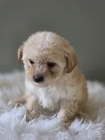 processed/09b5ad68-363b-4bb1-9c33-d02a7a3813e7/listing/26f947d7-3d39-4959-b468-096d8afa4028/35cfb873-7b2f-4841-8c3b-8812dabd7a99