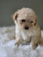 processed/09b5ad68-363b-4bb1-9c33-d02a7a3813e7/listing/26f947d7-3d39-4959-b468-096d8afa4028/70e4db46-6207-4fe1-8990-2c6e97995701