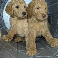 processed/09ca421d-17e6-4899-a694-814dedb25bac/facility/0607e7df-edab-4112-8543-535d0822f629