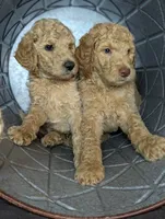 processed/09ca421d-17e6-4899-a694-814dedb25bac/facility/0607e7df-edab-4112-8543-535d0822f629