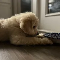 processed/09ca421d-17e6-4899-a694-814dedb25bac/facility/373998ef-7b8c-4923-a6fb-bdc2f5e73ffa