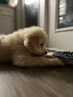 processed/09ca421d-17e6-4899-a694-814dedb25bac/facility/373998ef-7b8c-4923-a6fb-bdc2f5e73ffa