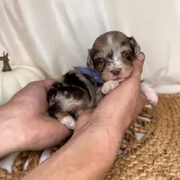 processed/09ca421d-17e6-4899-a694-814dedb25bac/facility/6fc2194f-c5b3-44c8-93dd-01898616f9e5