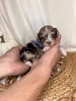 processed/09ca421d-17e6-4899-a694-814dedb25bac/facility/6fc2194f-c5b3-44c8-93dd-01898616f9e5