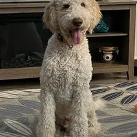 processed/09ca421d-17e6-4899-a694-814dedb25bac/facility/79b3b358-a991-40e4-8c00-ef607590587c