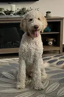 processed/09ca421d-17e6-4899-a694-814dedb25bac/facility/79b3b358-a991-40e4-8c00-ef607590587c