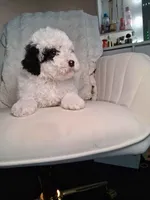 processed/09ca421d-17e6-4899-a694-814dedb25bac/listing/027566ba-b36b-418e-84a5-2232216e94ea/882b857d-4228-4641-bba2-44372a69dd4c