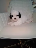 processed/09ca421d-17e6-4899-a694-814dedb25bac/listing/027566ba-b36b-418e-84a5-2232216e94ea/9caed3aa-3e78-470a-93fe-83e113e564af