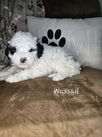 processed/09ca421d-17e6-4899-a694-814dedb25bac/listing/027566ba-b36b-418e-84a5-2232216e94ea/c90ed8bd-0739-44e1-9db8-2f022d25361b