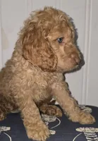 processed/09ca421d-17e6-4899-a694-814dedb25bac/listing/0620dc00-36fc-47d2-b6f7-b96764eb963e/4e11cd44-8599-4032-ba84-38e2b5ef9b6f