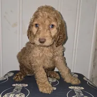 processed/09ca421d-17e6-4899-a694-814dedb25bac/listing/0620dc00-36fc-47d2-b6f7-b96764eb963e/c8c0412e-4e1a-45ec-8229-3d617f82ad01