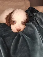 processed/09ca421d-17e6-4899-a694-814dedb25bac/listing/31f2cb7e-5c18-4a39-9ce7-4f08461e3ebd/434d7ef9-b0a1-413e-ae25-9914cfbd4484