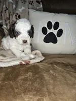 processed/09ca421d-17e6-4899-a694-814dedb25bac/listing/31f2cb7e-5c18-4a39-9ce7-4f08461e3ebd/bb690a46-8fd7-4e8f-abf8-44100febeaf5