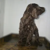 processed/09ca421d-17e6-4899-a694-814dedb25bac/listing/382989a7-476b-476f-af8c-ec24eba79533/016c3964-2289-40bb-8a27-cdd1dc05c402