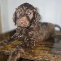 processed/09ca421d-17e6-4899-a694-814dedb25bac/listing/382989a7-476b-476f-af8c-ec24eba79533/153ac541-8695-4558-8187-ea6b756602d8