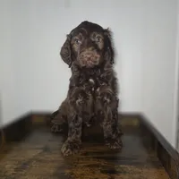 processed/09ca421d-17e6-4899-a694-814dedb25bac/listing/382989a7-476b-476f-af8c-ec24eba79533/97ae4cb0-d8f1-43cf-8b59-769460e72fa1