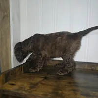 processed/09ca421d-17e6-4899-a694-814dedb25bac/listing/382989a7-476b-476f-af8c-ec24eba79533/db85855c-f752-4abd-ae54-678e797343e9