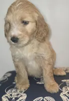 processed/09ca421d-17e6-4899-a694-814dedb25bac/listing/40e38e68-babf-4573-b4fa-15a07093c1b2/3a490e8d-fe6c-4e05-905f-61a8e61598f2