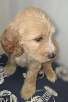 processed/09ca421d-17e6-4899-a694-814dedb25bac/listing/40e38e68-babf-4573-b4fa-15a07093c1b2/59a84f6d-0886-4a32-859d-7b42e47eb739