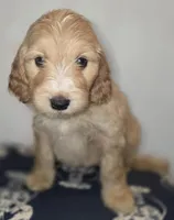 processed/09ca421d-17e6-4899-a694-814dedb25bac/listing/40e38e68-babf-4573-b4fa-15a07093c1b2/67cbdbc5-31d5-46c2-9628-d45b9d2dc3c6