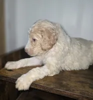 processed/09ca421d-17e6-4899-a694-814dedb25bac/listing/4339ea08-83b8-4103-80f6-a331eca780dc/ba3d76a7-44ae-4d0f-b2ff-2eb7b18beec3