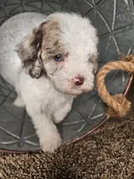 processed/09ca421d-17e6-4899-a694-814dedb25bac/listing/6b12e324-d049-47d1-8541-60189edfe7f9/48ca69b6-e54a-4456-91cd-a6e6f4383c44