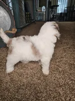 processed/09ca421d-17e6-4899-a694-814dedb25bac/listing/6b12e324-d049-47d1-8541-60189edfe7f9/851f2229-89b9-447b-a74a-34adb9a38474