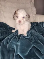 processed/09ca421d-17e6-4899-a694-814dedb25bac/listing/6b12e324-d049-47d1-8541-60189edfe7f9/866b9d9d-8348-430c-a89e-99b58f3334bc