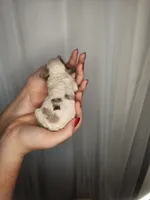 processed/09ca421d-17e6-4899-a694-814dedb25bac/listing/6b12e324-d049-47d1-8541-60189edfe7f9/bbe8aa71-b40a-4170-a829-72862a47e6ae