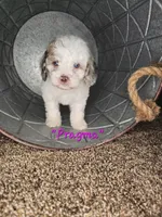 processed/09ca421d-17e6-4899-a694-814dedb25bac/listing/6b12e324-d049-47d1-8541-60189edfe7f9/fee8c07a-6854-4514-af41-3389f16c10b2