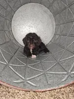 processed/09ca421d-17e6-4899-a694-814dedb25bac/listing/798c1866-de32-437f-b571-d0c2cc350cd8/9a66be0f-2ba2-4bca-9627-1f90d7c915a1