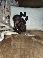 processed/09ca421d-17e6-4899-a694-814dedb25bac/listing/798c1866-de32-437f-b571-d0c2cc350cd8/b6930a9a-22f4-40a8-9751-337a80215706