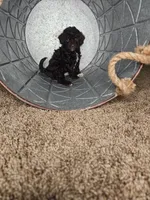 processed/09ca421d-17e6-4899-a694-814dedb25bac/listing/798c1866-de32-437f-b571-d0c2cc350cd8/f680d216-f2a2-41e9-b2a5-64a190135f9f