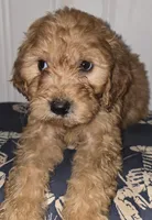 processed/09ca421d-17e6-4899-a694-814dedb25bac/listing/8571a90a-ed5d-47c8-a9f7-f2e8378afeeb/8f2c951a-7229-416c-b633-82c2b2b0cb30