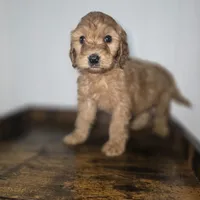 processed/09ca421d-17e6-4899-a694-814dedb25bac/listing/8571a90a-ed5d-47c8-a9f7-f2e8378afeeb/a01afcc7-4bdf-4bba-9704-60907c804795