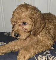 processed/09ca421d-17e6-4899-a694-814dedb25bac/listing/8571a90a-ed5d-47c8-a9f7-f2e8378afeeb/c03b5ca8-dc99-401f-9b37-6f3e35c0c6d5