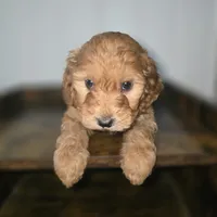 processed/09ca421d-17e6-4899-a694-814dedb25bac/listing/8571a90a-ed5d-47c8-a9f7-f2e8378afeeb/e69b908f-b3db-4bc3-b7c2-5cbbedf2f23b