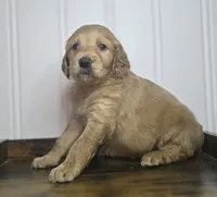 processed/09ca421d-17e6-4899-a694-814dedb25bac/listing/9e90b0be-f5ec-4f66-80c6-a5bf10084fcc/7080b36b-0ef7-44f7-bc8d-0b03814a23b3