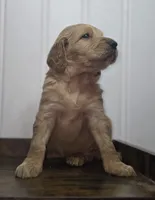 processed/09ca421d-17e6-4899-a694-814dedb25bac/listing/9e90b0be-f5ec-4f66-80c6-a5bf10084fcc/77abba76-4cf4-49c4-87e5-2a1df628f3d1