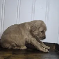 processed/09ca421d-17e6-4899-a694-814dedb25bac/listing/9e90b0be-f5ec-4f66-80c6-a5bf10084fcc/95f62c45-24c0-4c31-bb21-e857e47b80f6