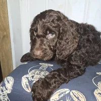 processed/09ca421d-17e6-4899-a694-814dedb25bac/listing/b7593a98-01a2-4dfa-b78e-5b04753f04e3/16a77d06-7679-49d3-beb1-e9671041c3b2